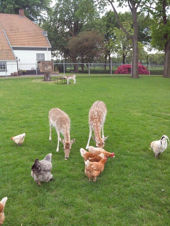 Апартаменты Bed En Breakfast Westerwolde Sellingen Экстерьер фото